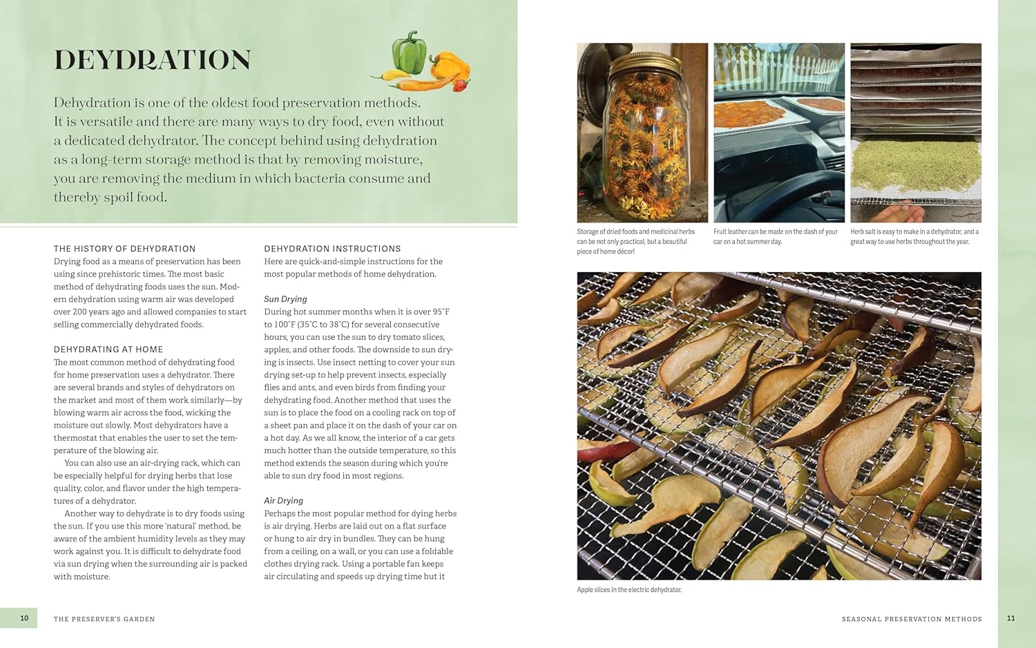 The Preserver's Garden: How to Grow a Garden for Fermenting, Canning, Pickling, Dehydrating, Freeze Drying, and More (Staci and Jeremy Hill)