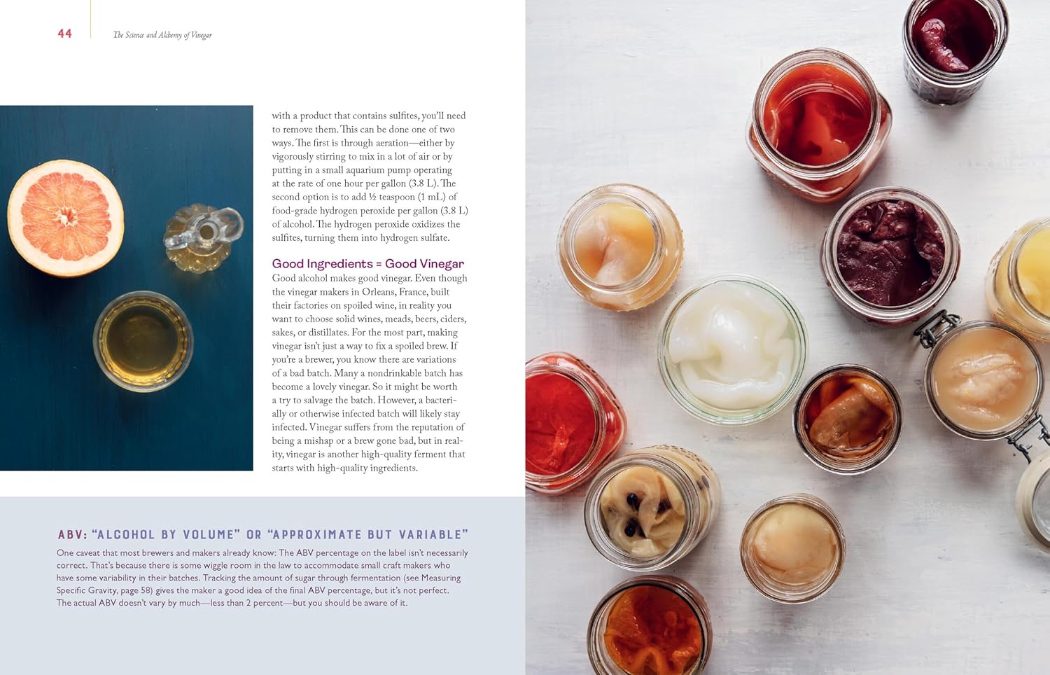 Homebrewed Vinegar (Kirsten K. Shockey)