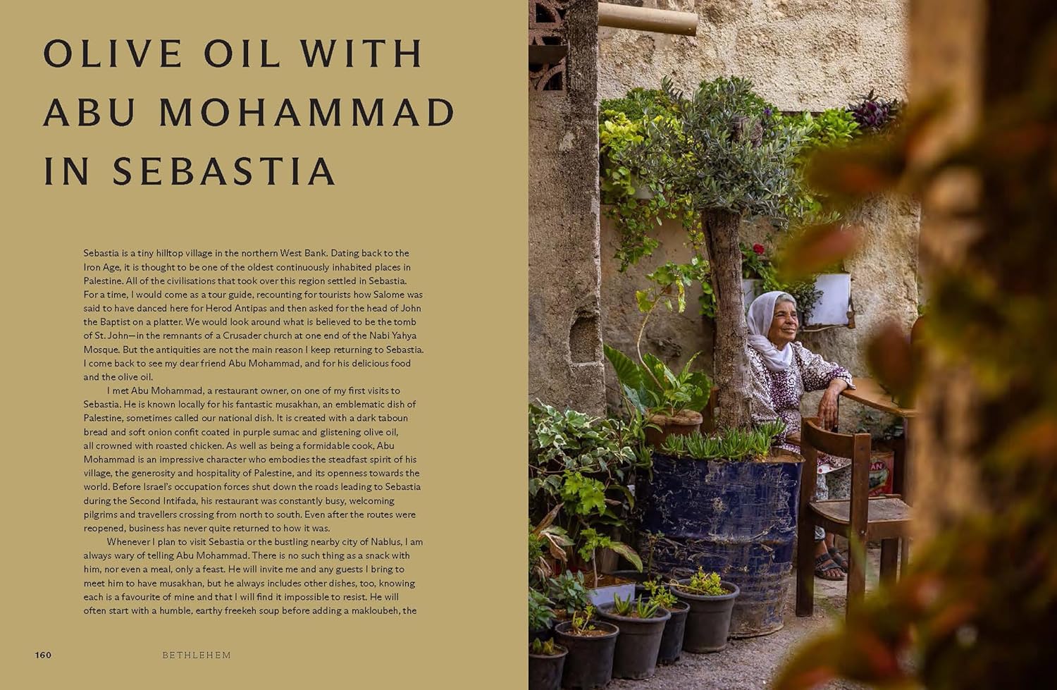 Bethlehem: A Celebration of Palestinian Food (Fadi Kattan)
