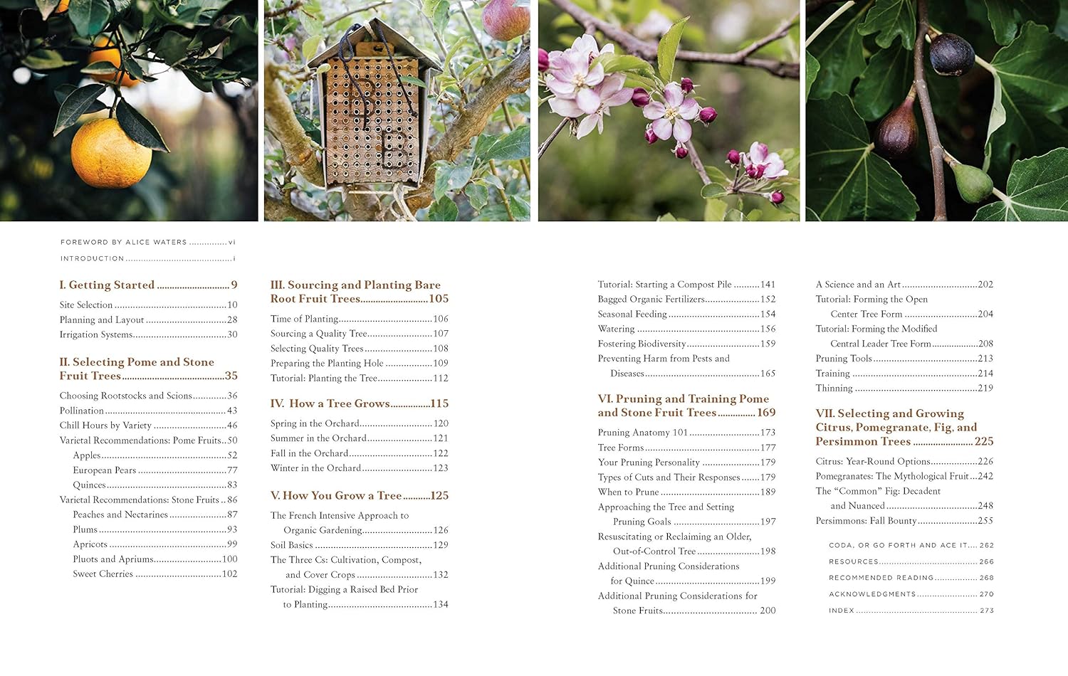 Fruit Trees for Every Garden (Orin & Manjula Martin)