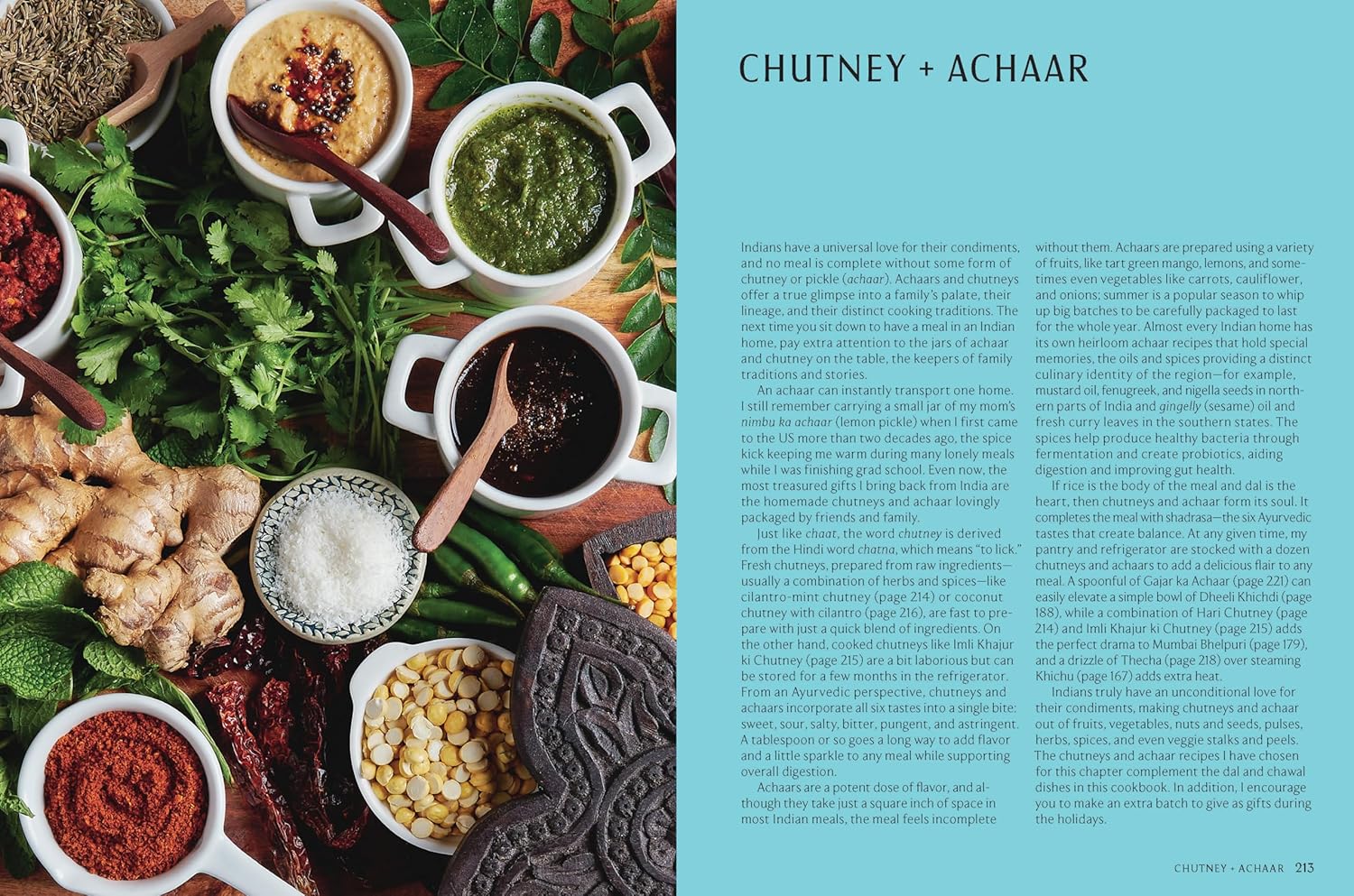 Dal Chawal: 85 Vegetarian Indian Recipes Combining the Power of Dal and Rice (Sapna Punjabi)