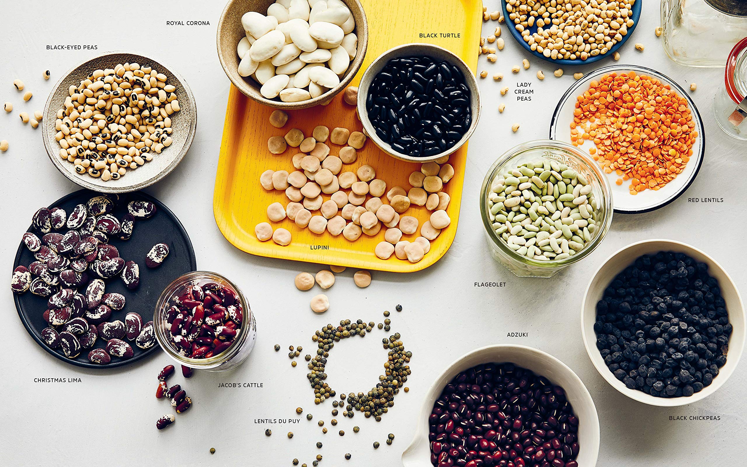 Cool Beans: The Ultimate Guide to Cooking with the World's Most Versatile Plant-Based Protein, with 125 Recipes (Joe Yonan)
