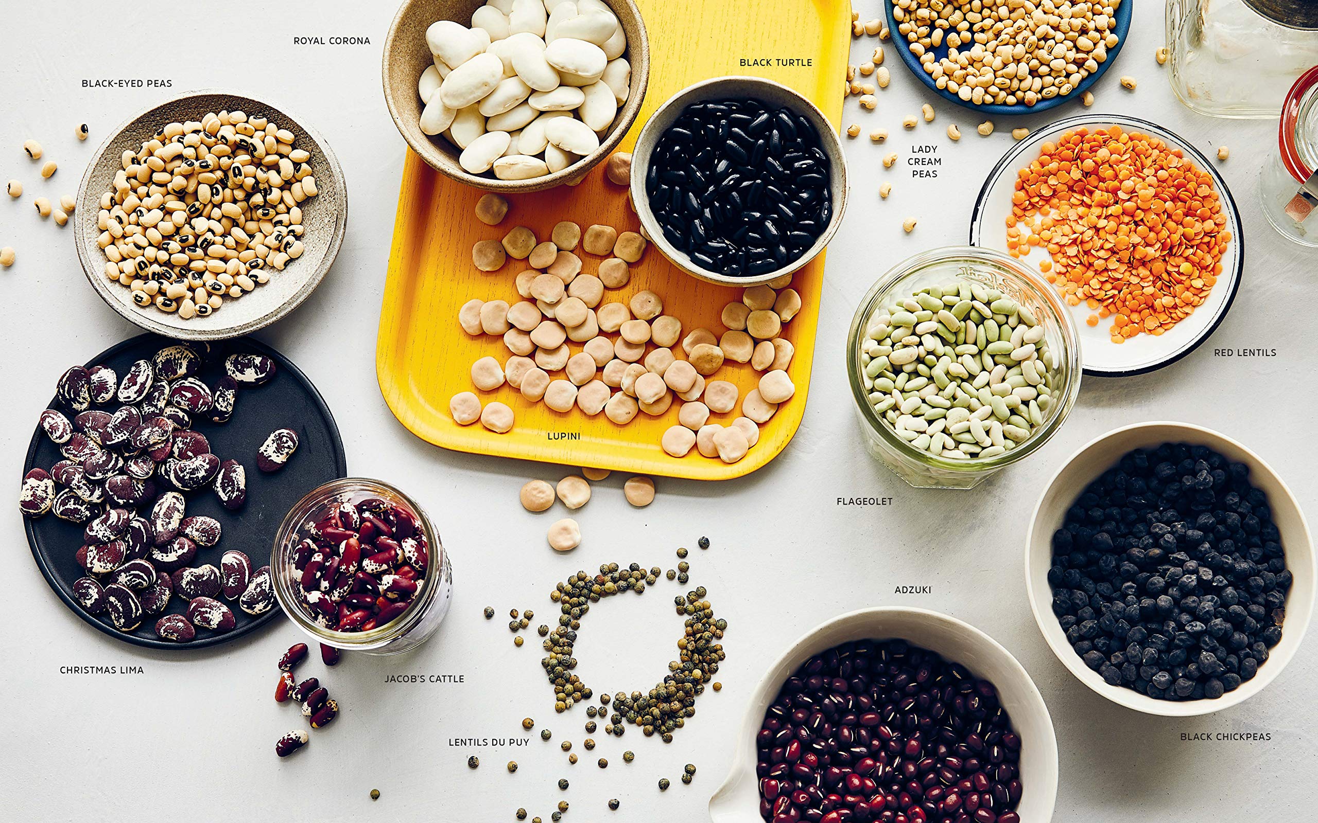 Cool Beans: The Ultimate Guide to Cooking with the World's Most Versatile Plant-Based Protein, with 125 Recipes (Joe Yonan) *Signed*