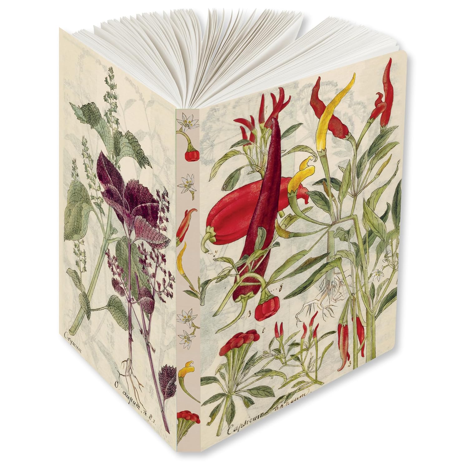 Chili Peppers & Shiso Leaves Blank Hardcover Journal: Blank Notebook with Ribbon Bookmark (Tuttle Studio)