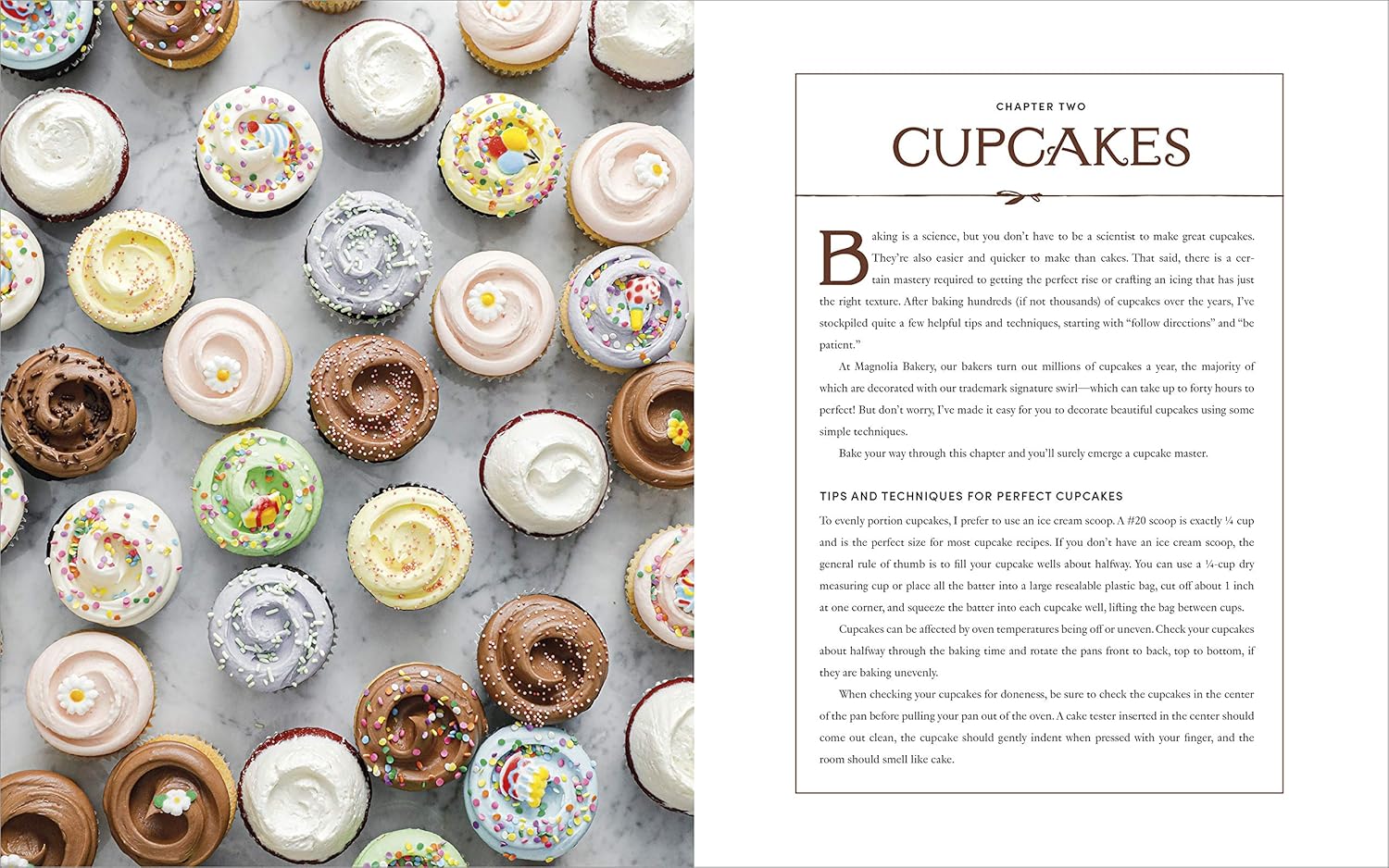 The Magnolia Bakery Handbook: A Complete Guide for the Home Baker (Bobbie Lloyd)