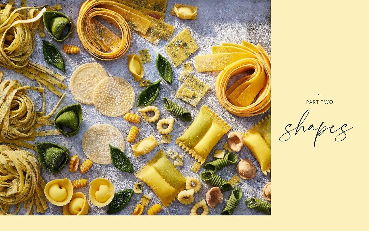 *Damaged* Pasta Every Day: Make It, Shape It, Sauce It, Eat It (Meryl Feinstein)