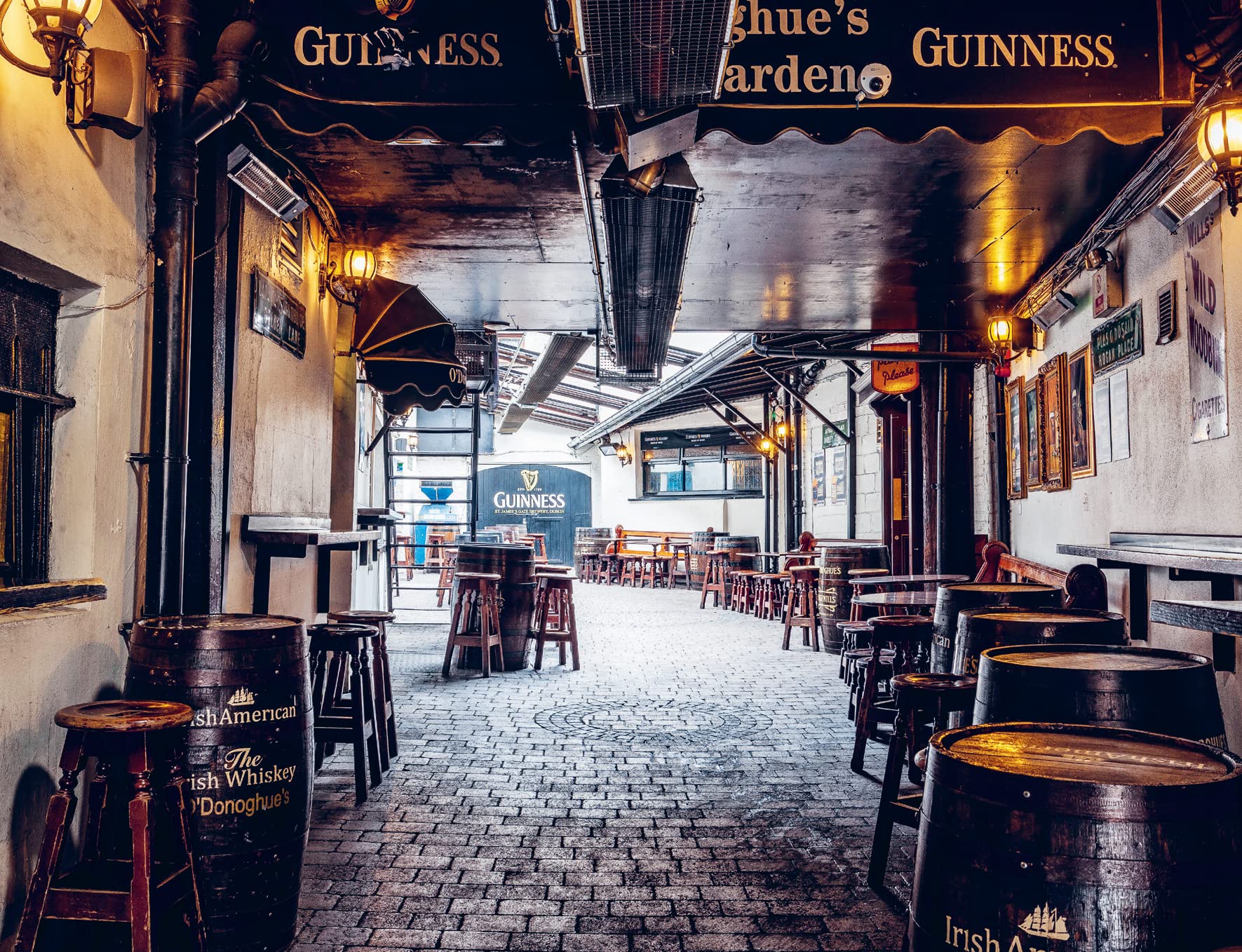 Beyond the Cobblestones in Dublin: An Insider’s Guide to the Best Places to Eat, Drink and Explore (Fiona Hilliard)