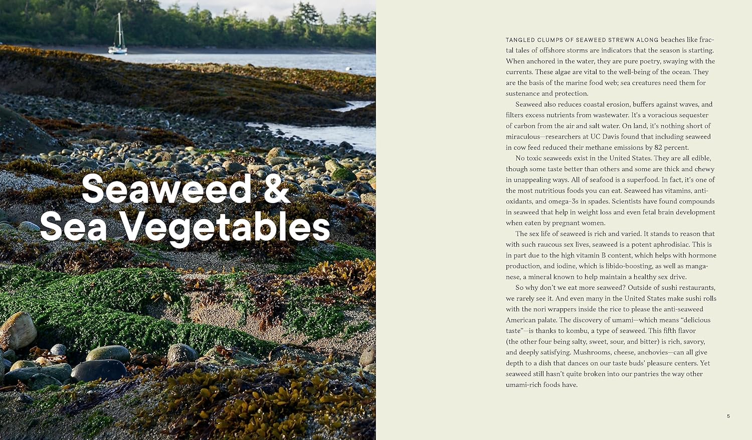 Forage. Gather. Feast.: 100+ Recipes from West Coast Forests, Shores, and Urban Spaces (Maria Finn)