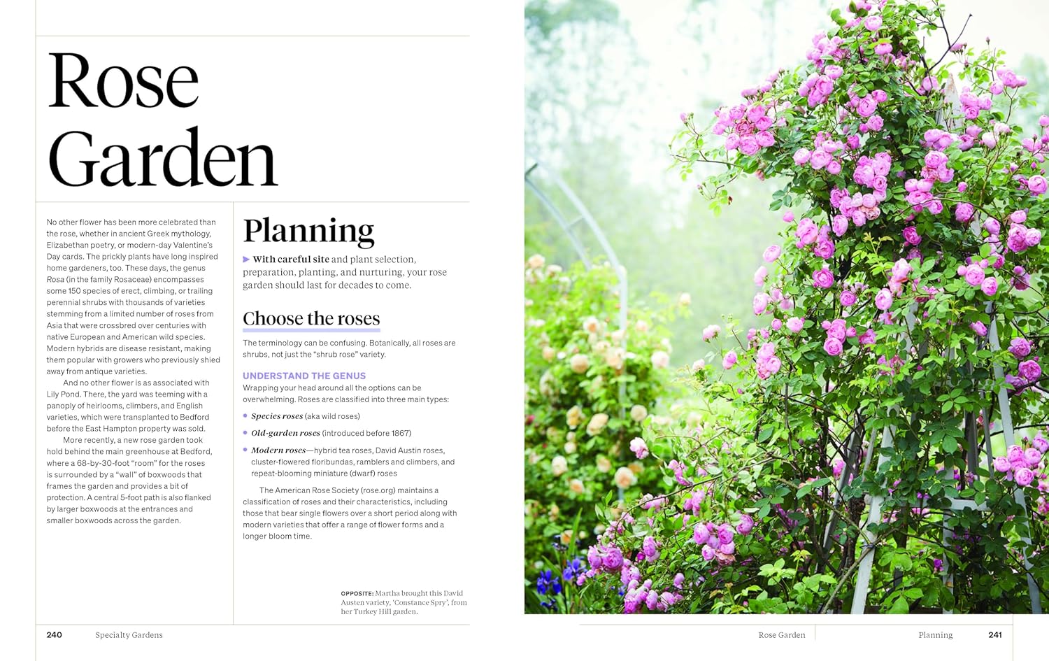 Martha Stewart's Gardening Handbook: The Essential Guide to Designing, Planting, and Growing (Martha Stewart)