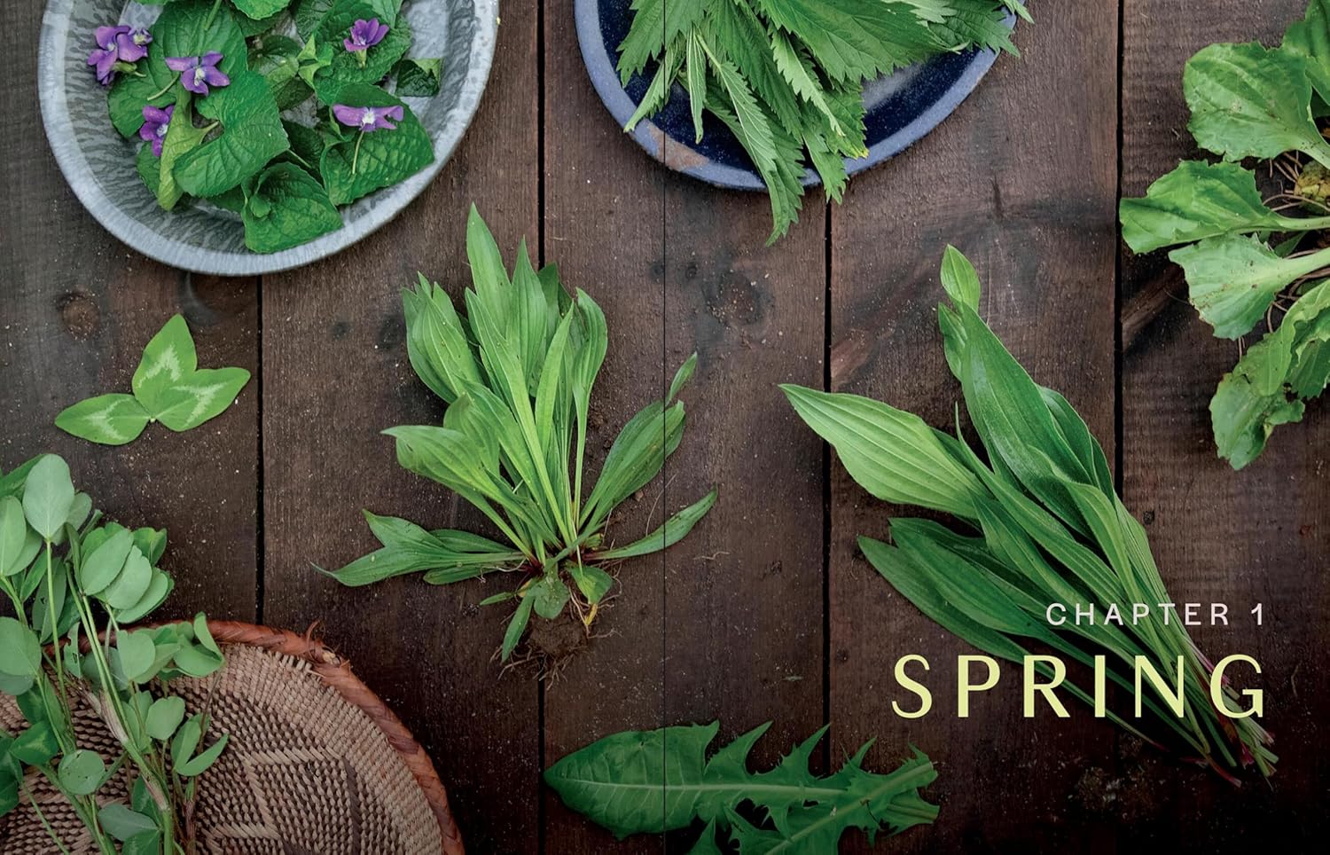 Herbs in Every Season: 48 Edible and Medicinal Herbs for the Kitchen, Garden, and Apothecary (Bevin Cohen)