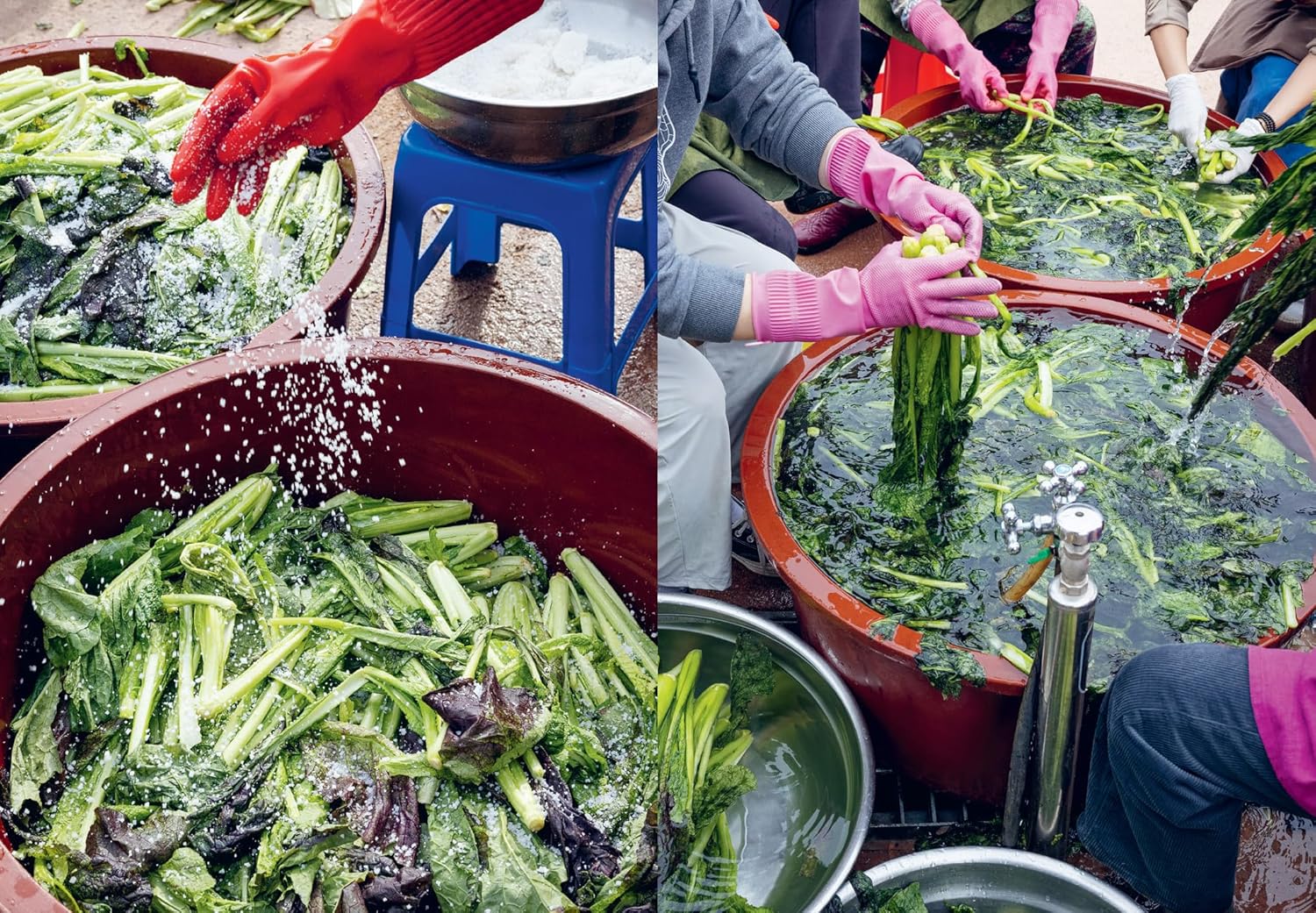 Korean Temple Cooking: Lessons on Life and Buddhism with Recipes (Hoo Nam Seelmann, Véronique Hoegger)