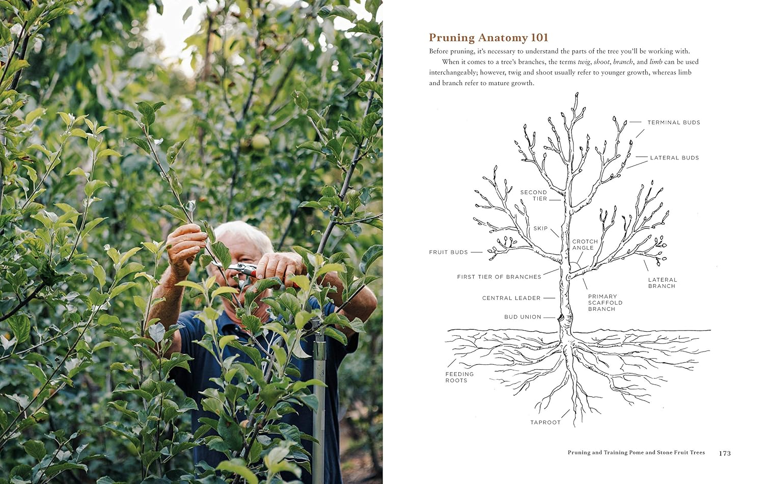 Fruit Trees for Every Garden (Orin & Manjula Martin)