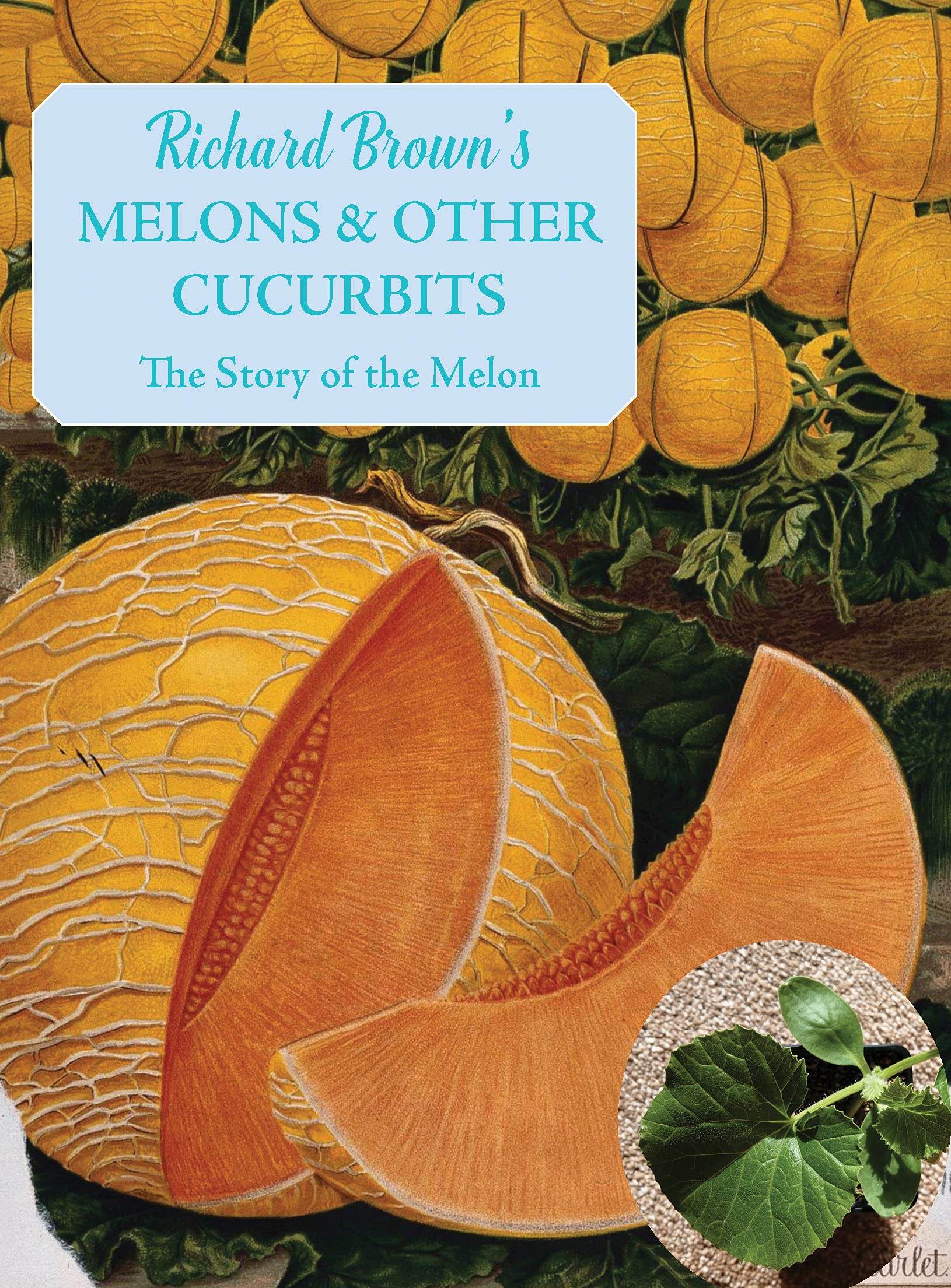 Melons & Other Cucurbits: Growing and Cooking (Richard Brown)