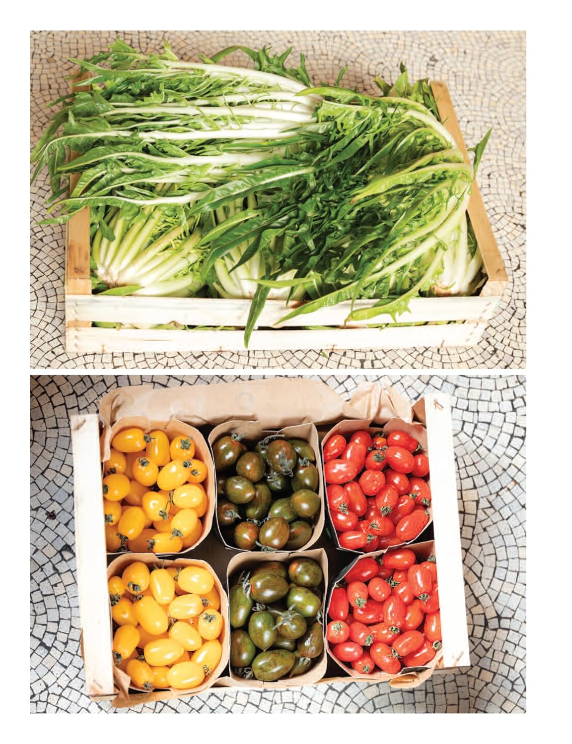 The Contini Cookbook (Carina Contini)