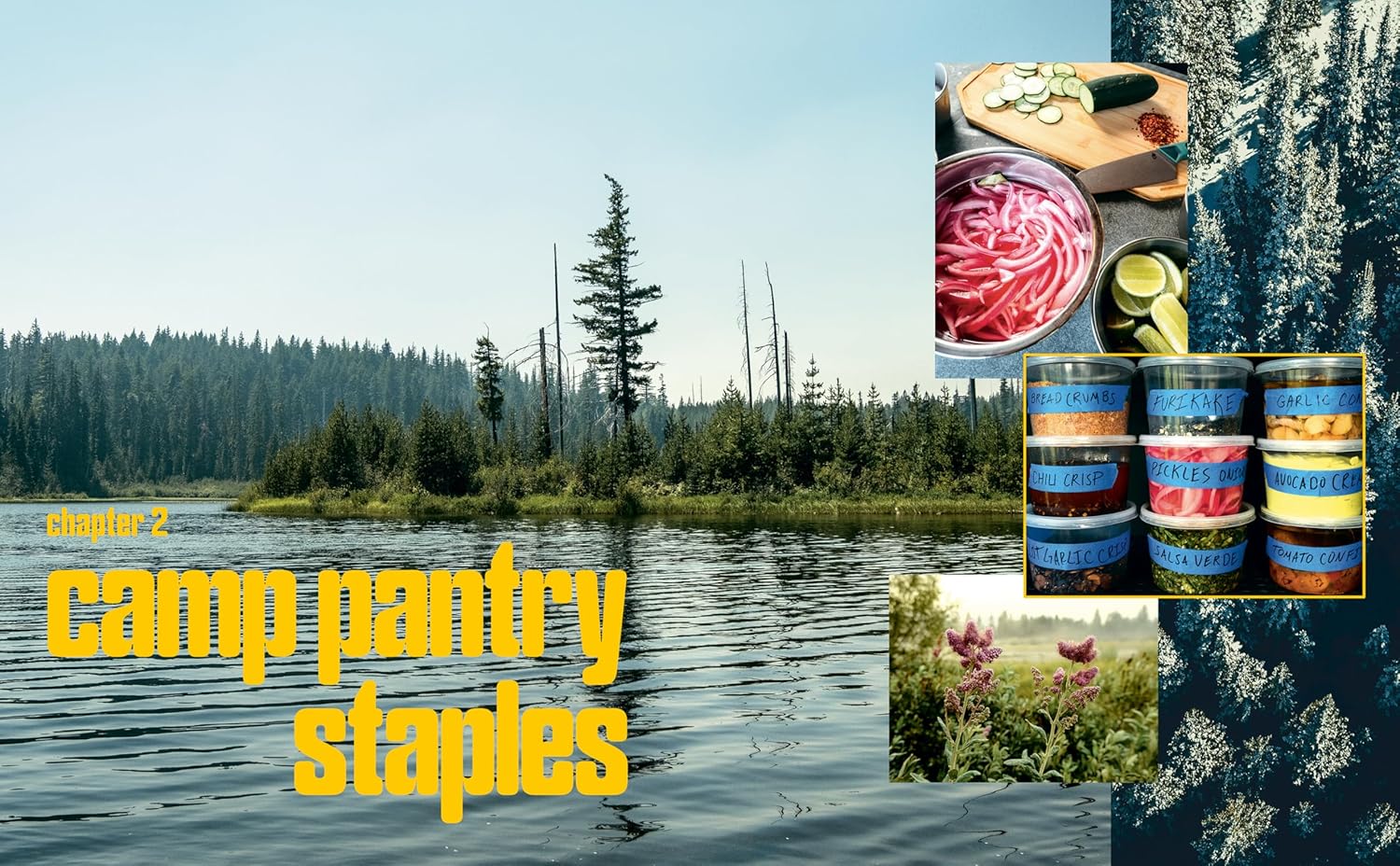 Cook Out: Recipes and Tips for the Great Outdoors (Rashad Frazier)