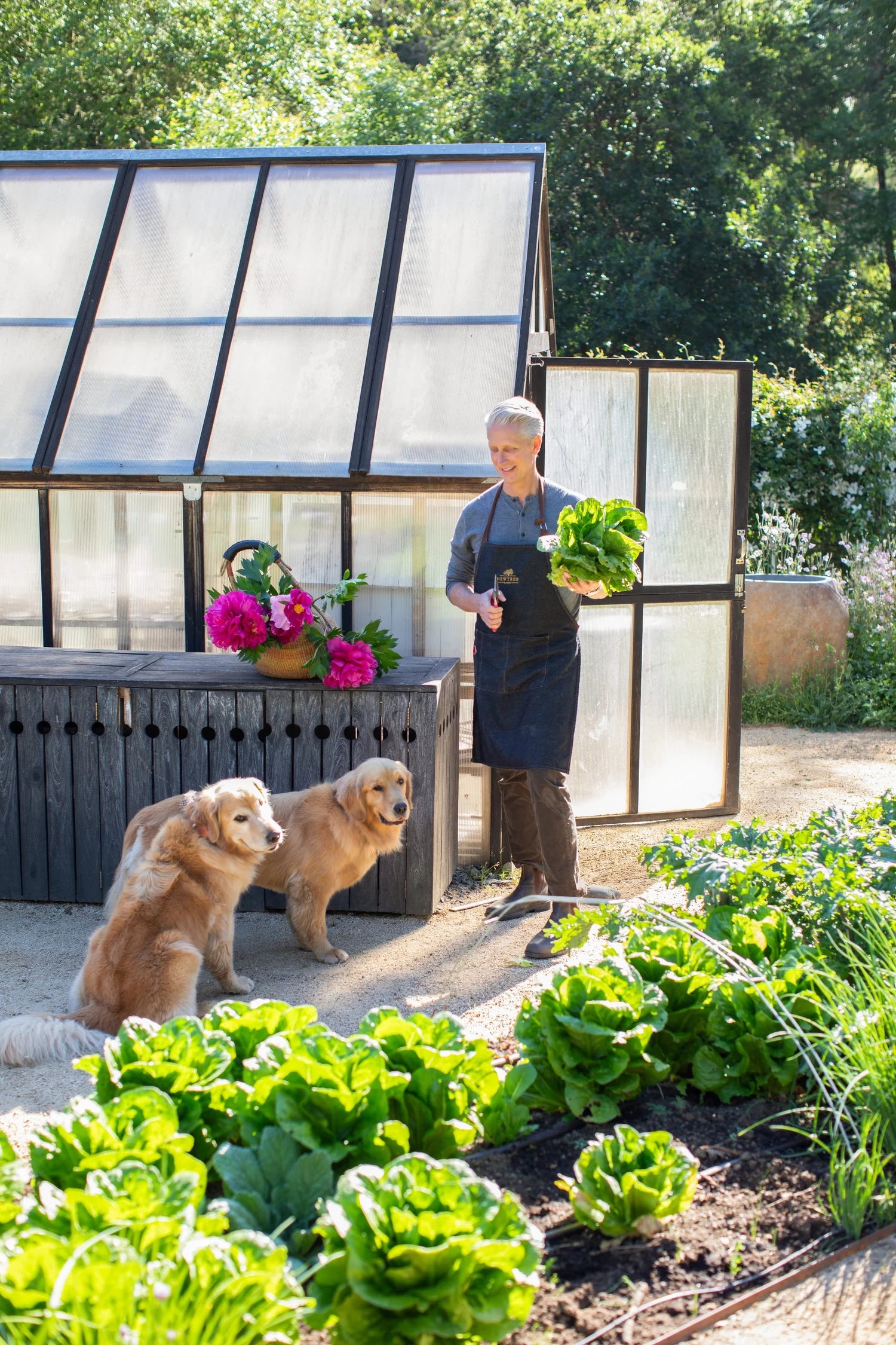 Farm + Market: Healdsburg (Liza Gershman)