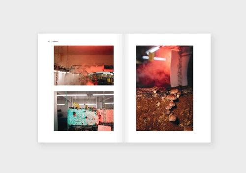 Dinette Magazine: Lumiere - Volume 19