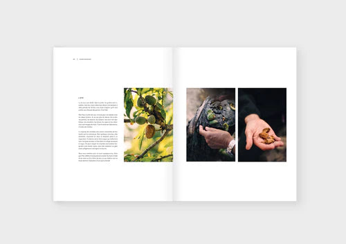Dinette Magazine: Lumiere - Volume 19