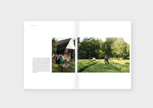 Dinette Magazine: Lumiere - Volume 19