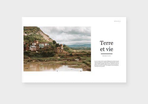 Dinette Magazine: Force - Volume 17