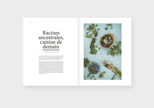 Dinette Magazine: Force - Volume 17