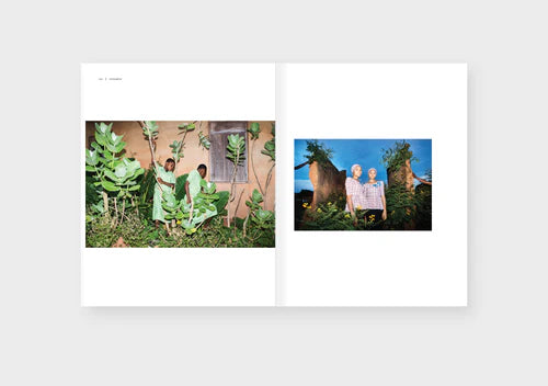 Dinette Magazine: Force - Volume 17