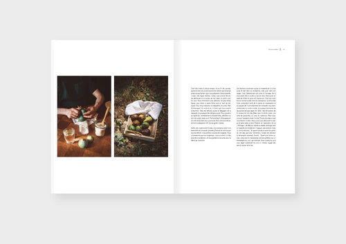 Dinette Magazine: Force - Volume 17