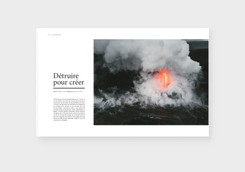 Dinette Magazine: Force - Volume 17