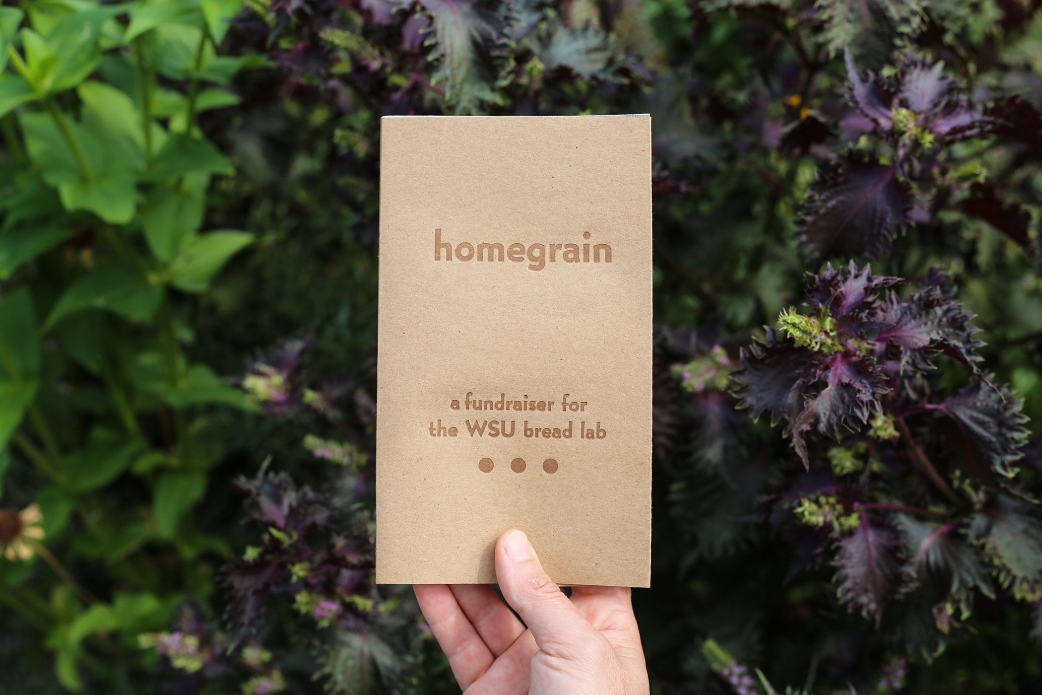 HOMEGRAIN: A fundraiser for the WSU Breadlab