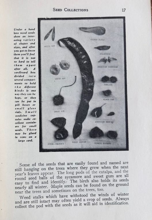 (*NEW ARRIVAL*) (Camping) Boy Scouts of America. Nature Collections