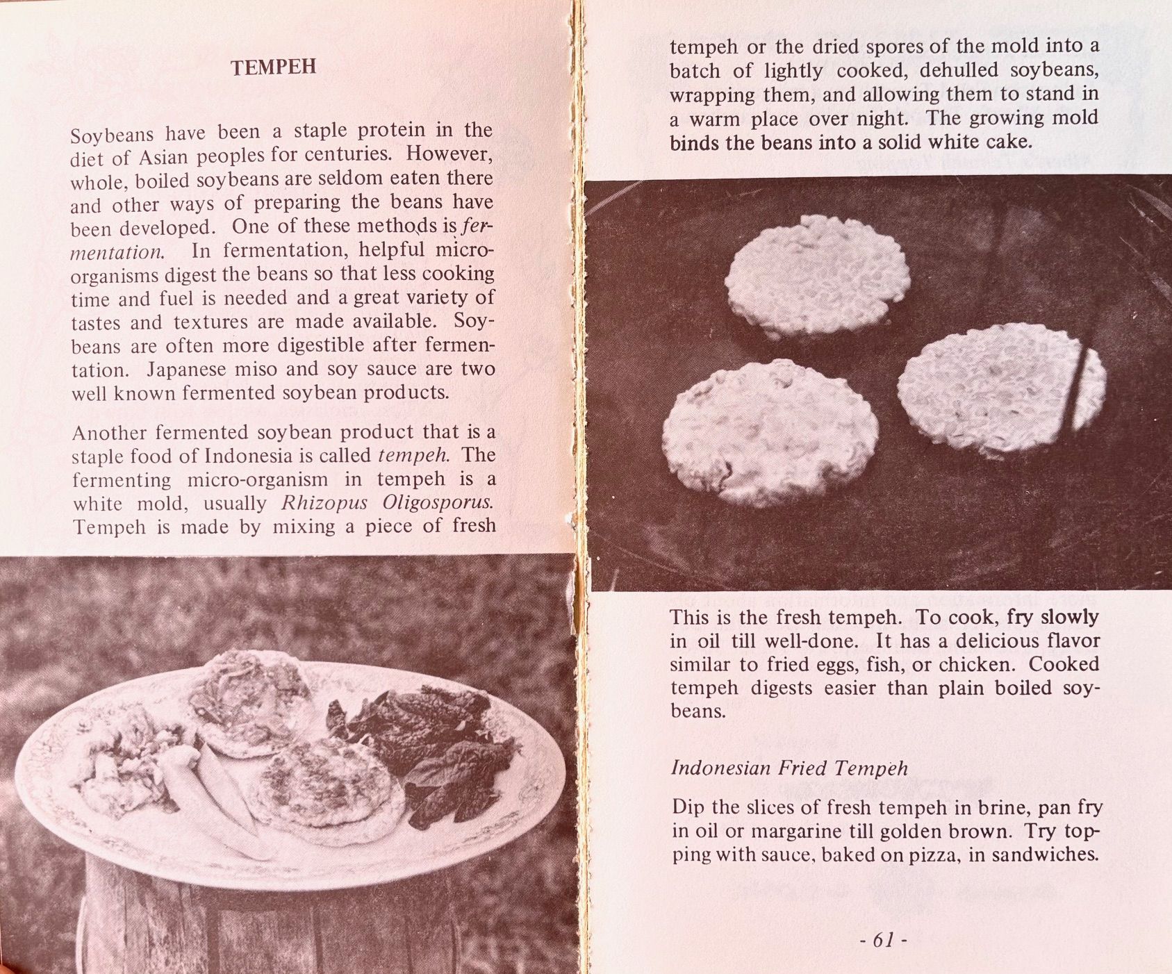 (*NEW ARRIVAL*) (Vegetarian) The Farm Vegetarian Cookbook