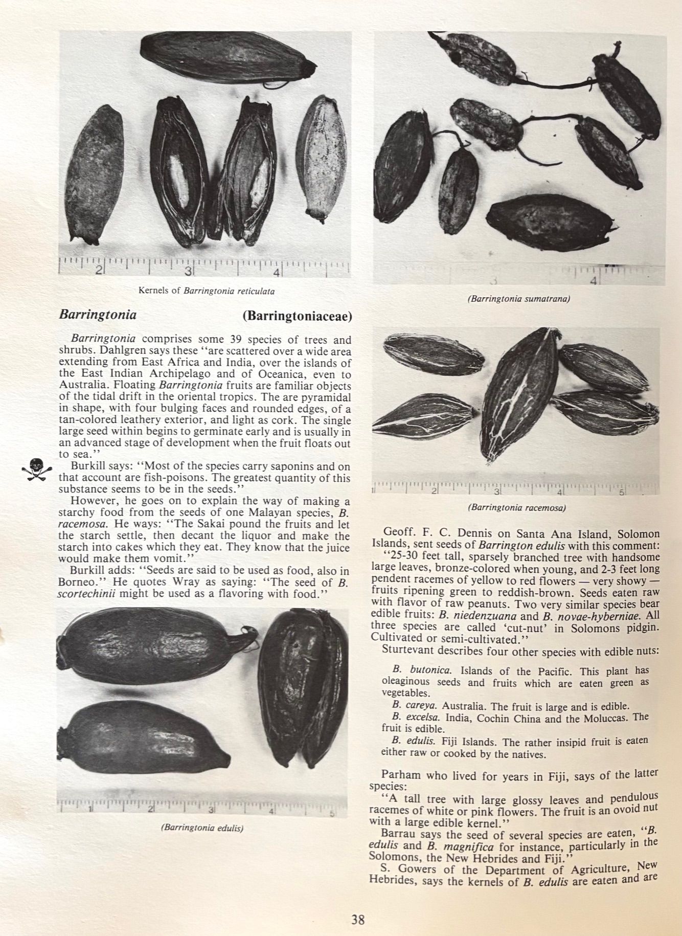 (*NEW ARRIVAL*) (Nuts) Edwin A. Menninger. Edible Nuts of the World