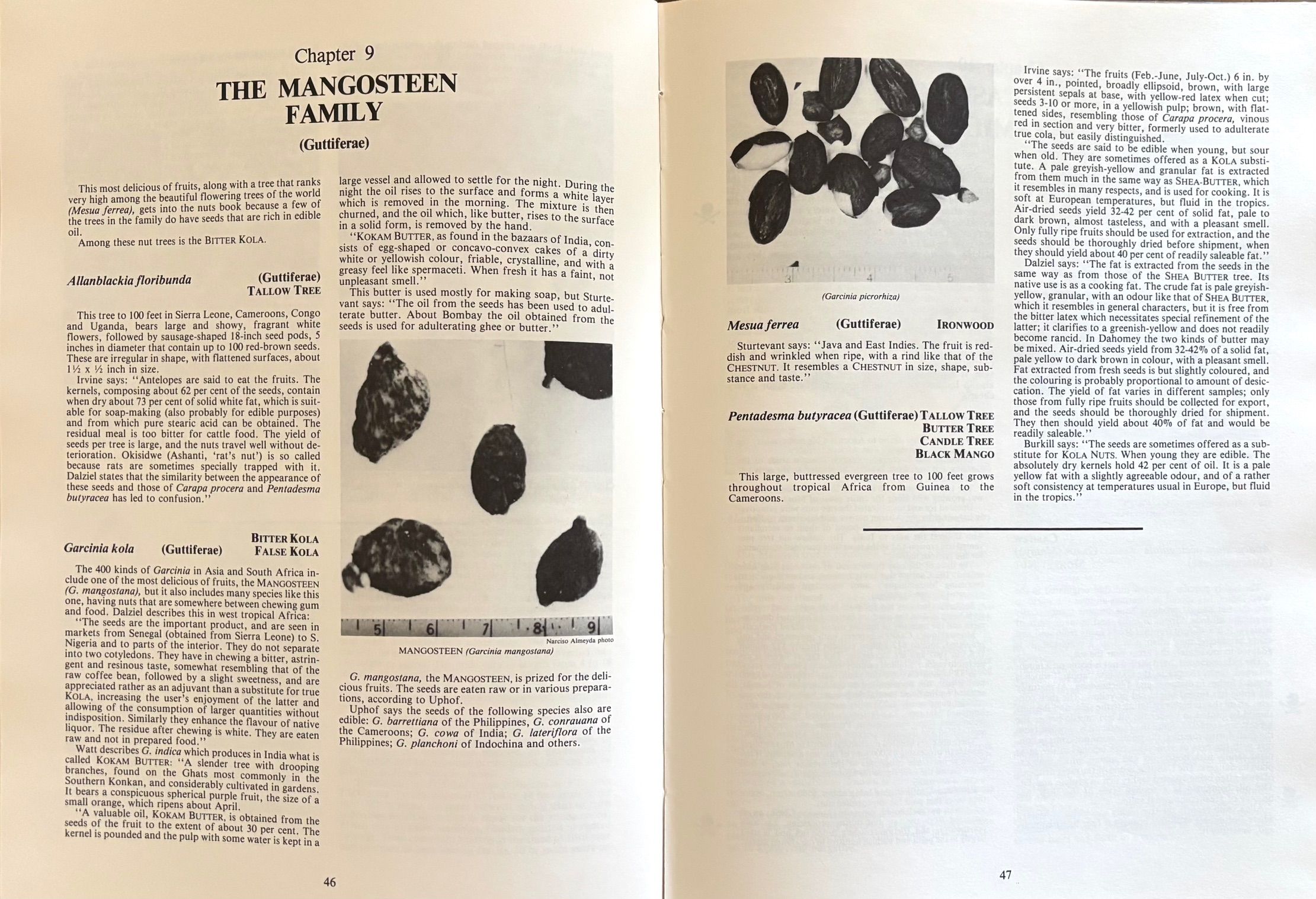 (*NEW ARRIVAL*) (Nuts) Edwin A. Menninger. Edible Nuts of the World