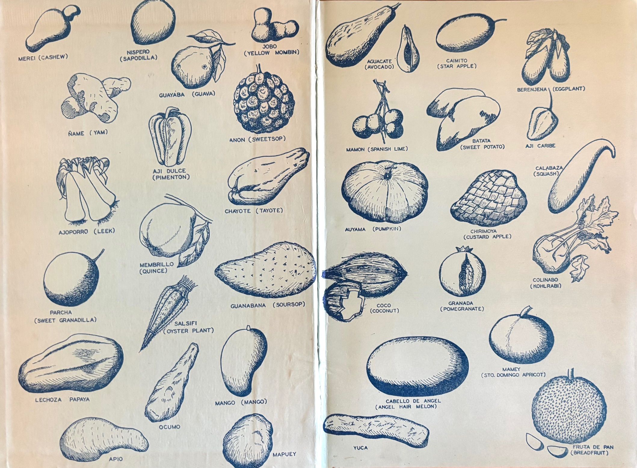 (*NEW ARRIVAL*) (Venezuelan) Herrera, Elsie, Dorothy Crease, Catherine de Coup-Crank & Dorothy Kamen-Kaye, eds. Buen Provecho! Caracas Cookery.