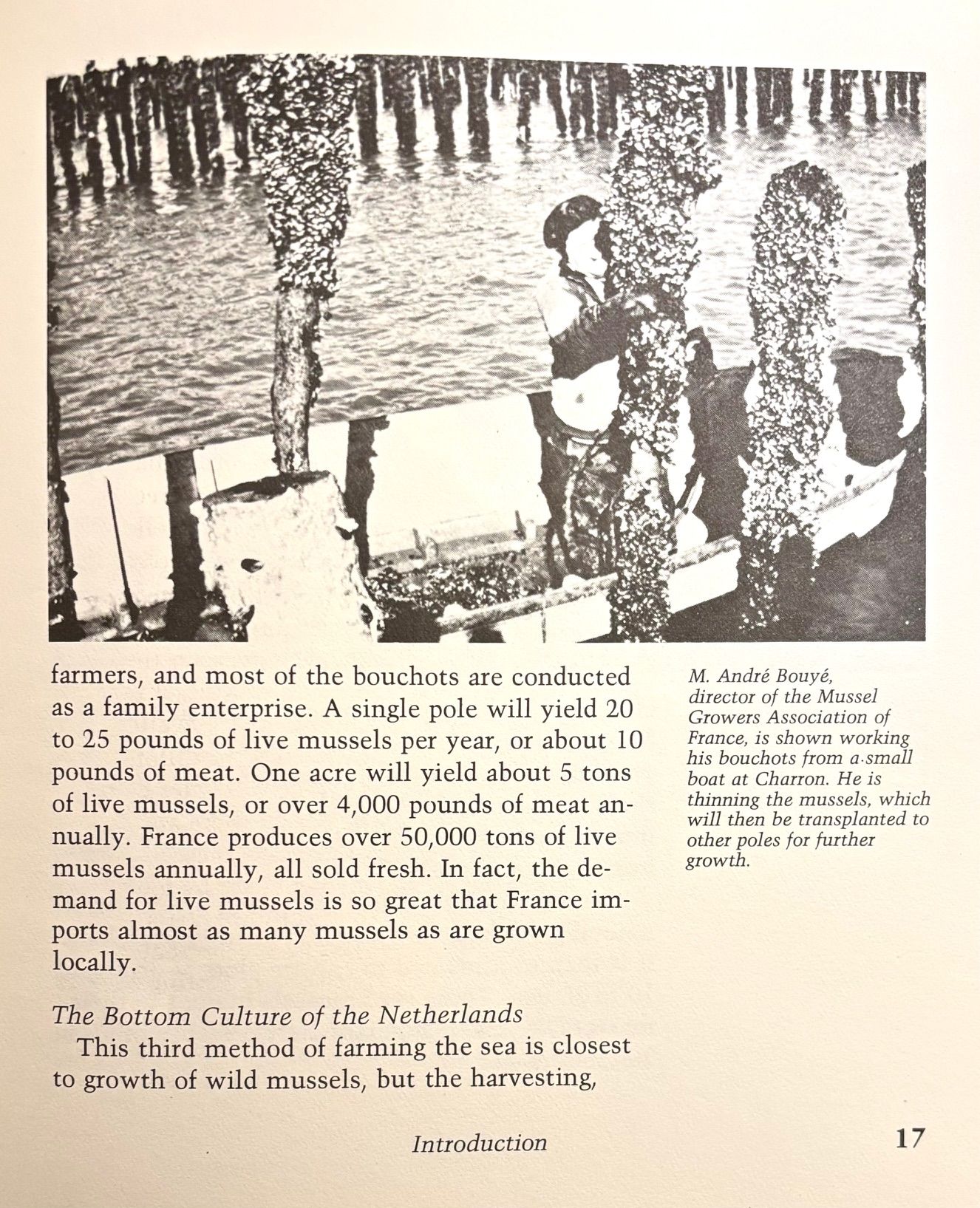 (*NEW ARRIVAL*) (Shellfish) Sarah Hurlburt. The Mussel Cookbook