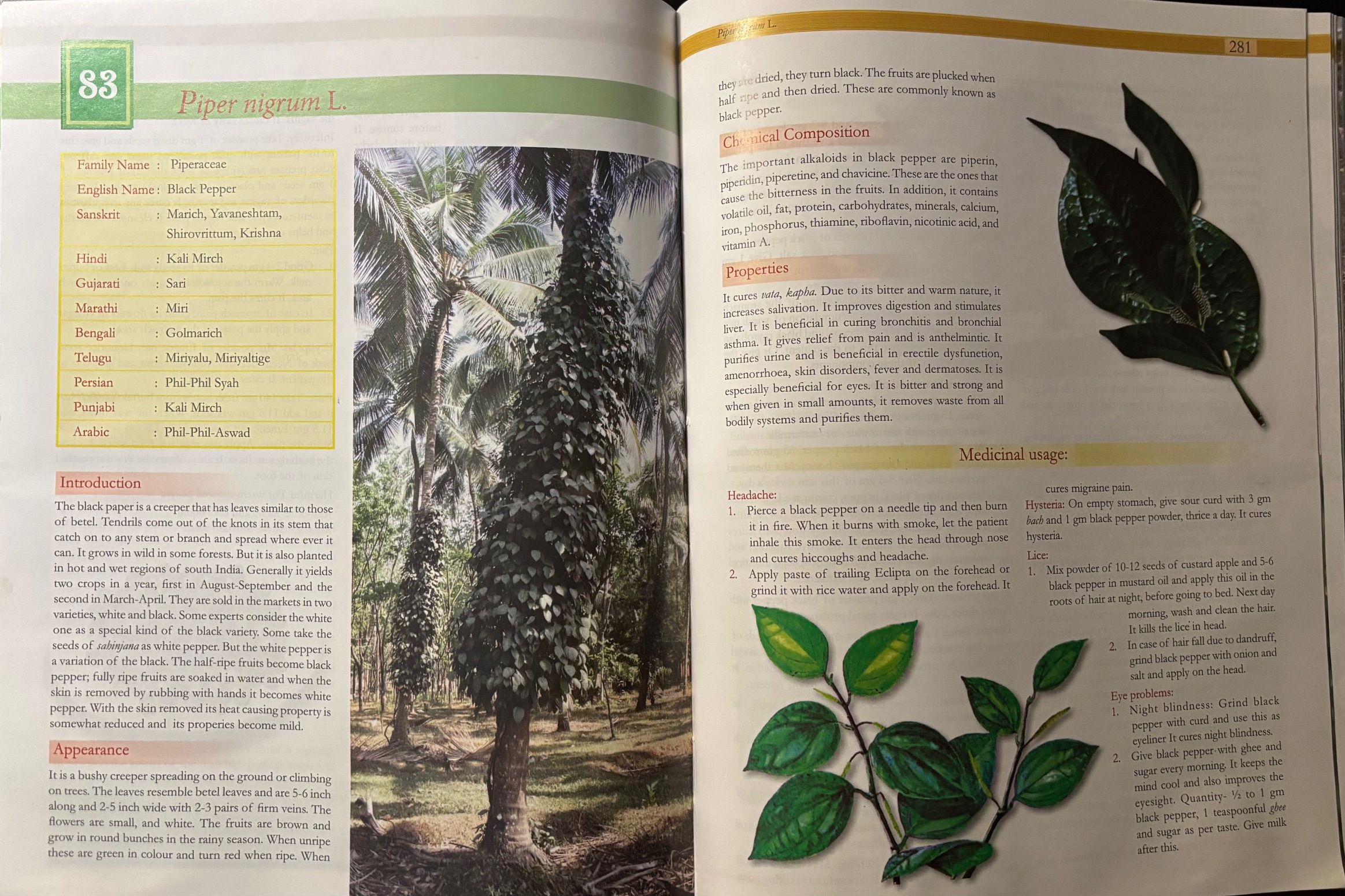 (*NEW ARRIVAL*) (Indian) Acharya Balkrishna. Secrets of Indian Herbs for Good Health