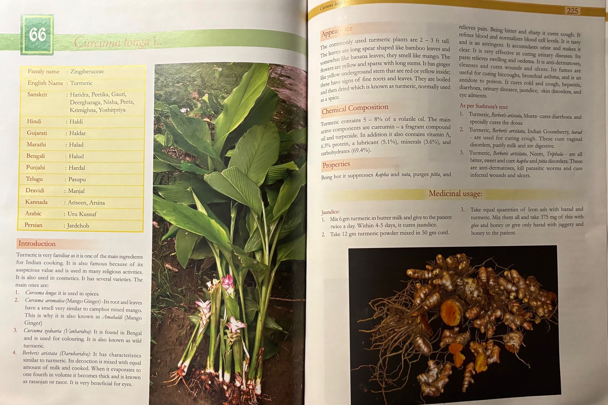 (Indian) Acharya Balkrishna. Secrets of Indian Herbs for Good Health