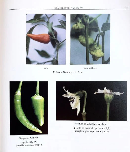 (*NEW ARRIVAL*) (Peppers) Jean Andrews. Peppers: The Domesticated Capsicums - New Edition