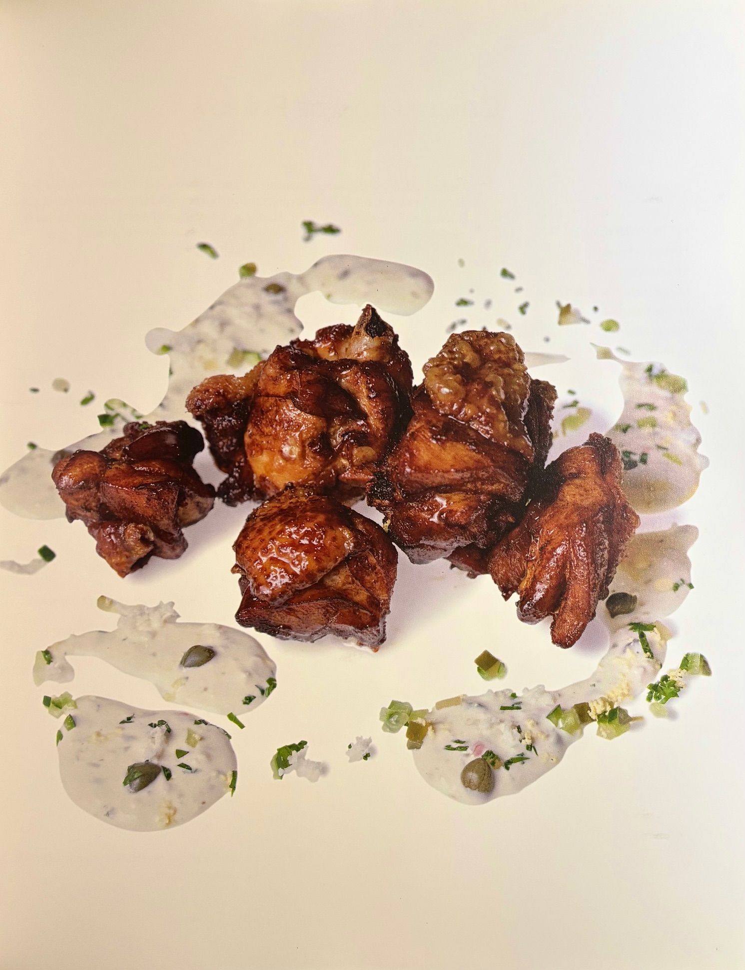 (*NEW ARRIVAL*) (Peruvian) Tony Custer. The Art of Peruvian Cuisine