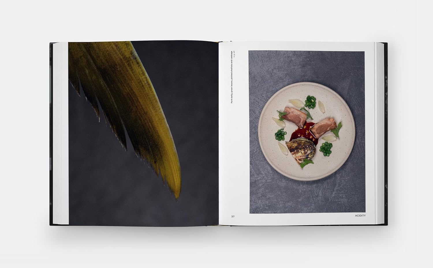 Oteque: Ideas, Principles, Recipes, Stories and Connections (Alberto Landgraf, Andrea Petrini) *Signed*