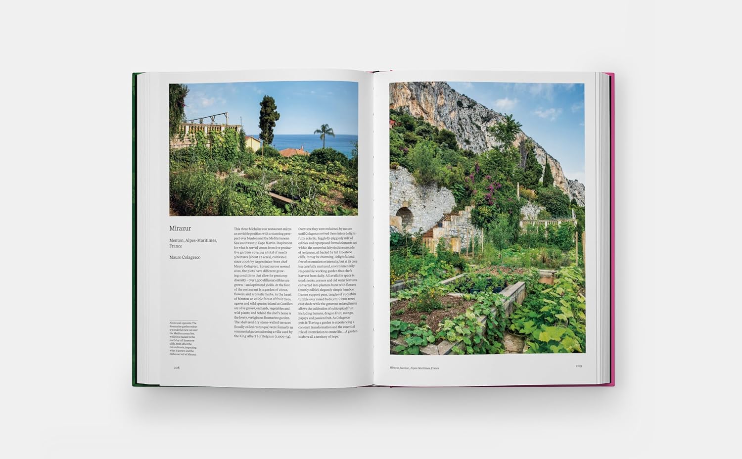 The Kitchen Garden (Toby Musgrave)
