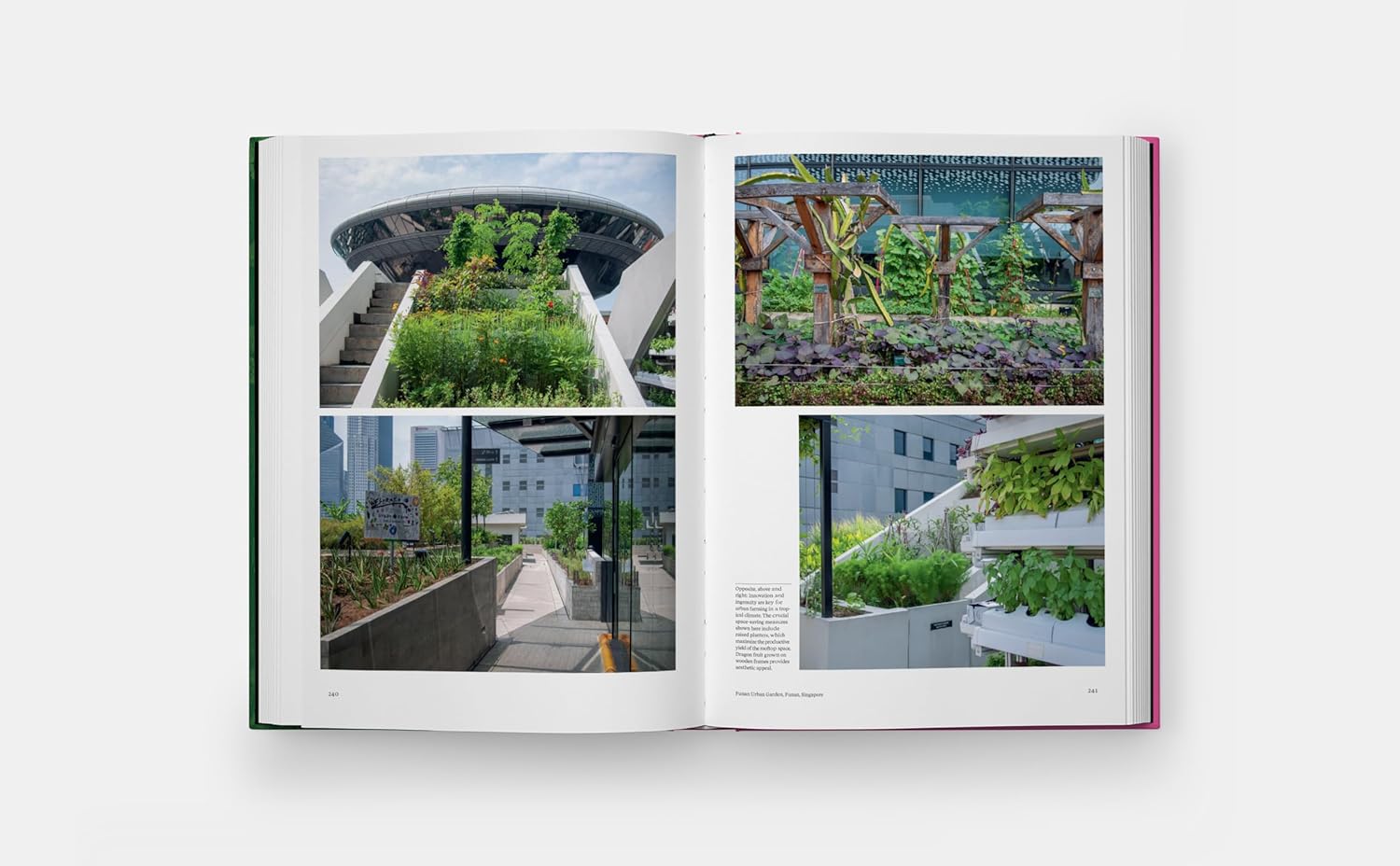 The Kitchen Garden (Toby Musgrave)
