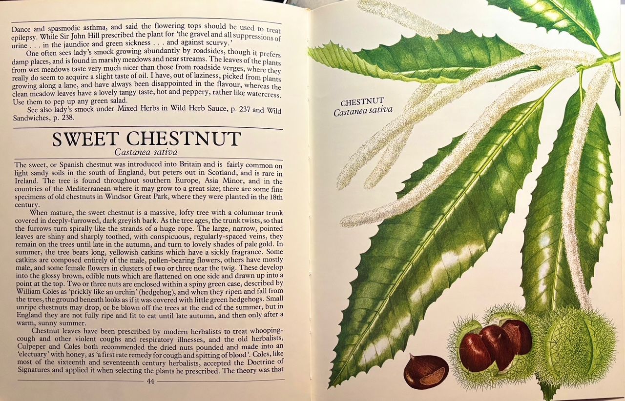 (*NEW ARRIVAL*) (Foraging) Pamela Michael. All Good Things Around Us: A Cookbook and Guide to Wild Plants and Herbs