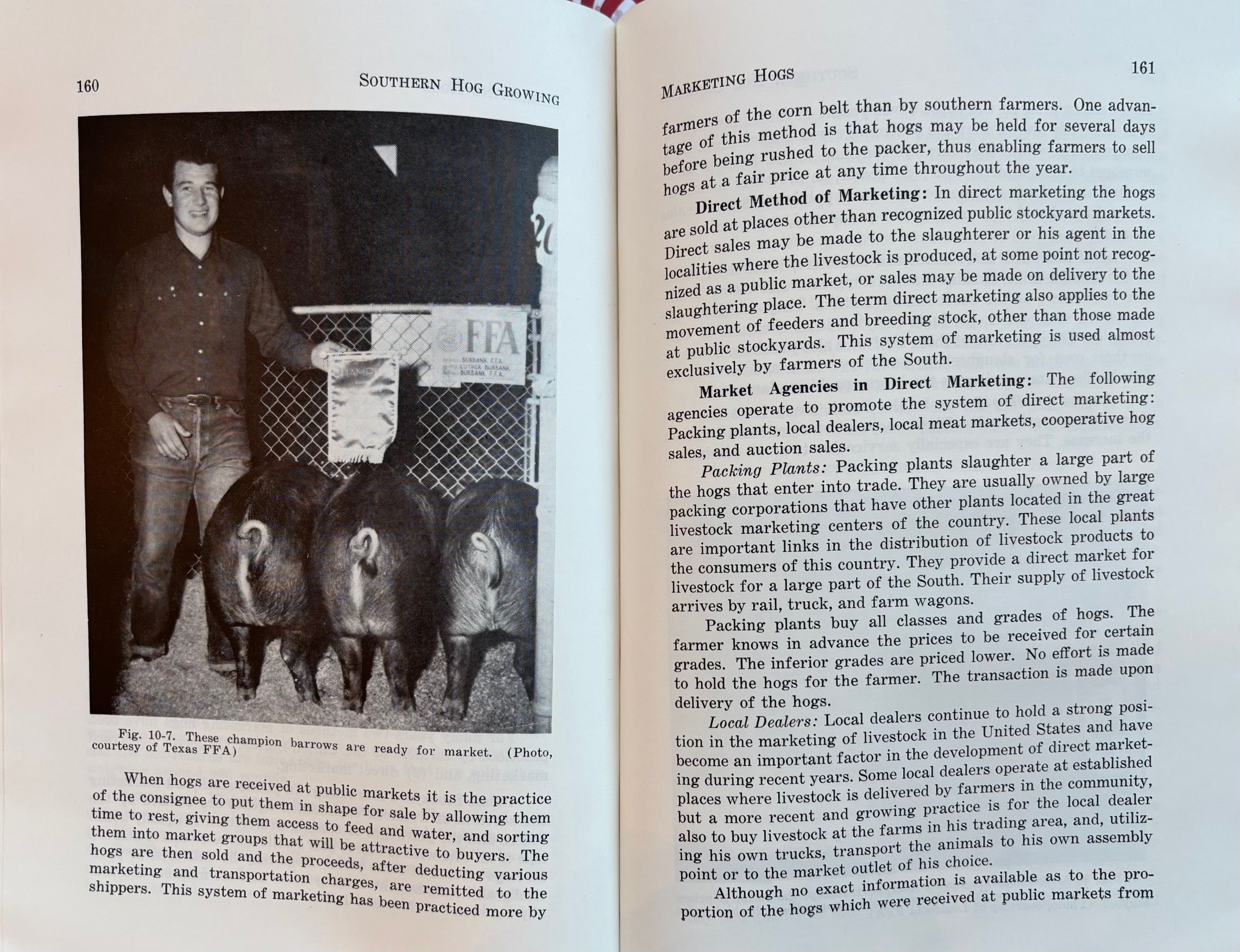 (*NEW ARRIVAL*) (Southern) C.C. Scarborough. Southern Hog Growing