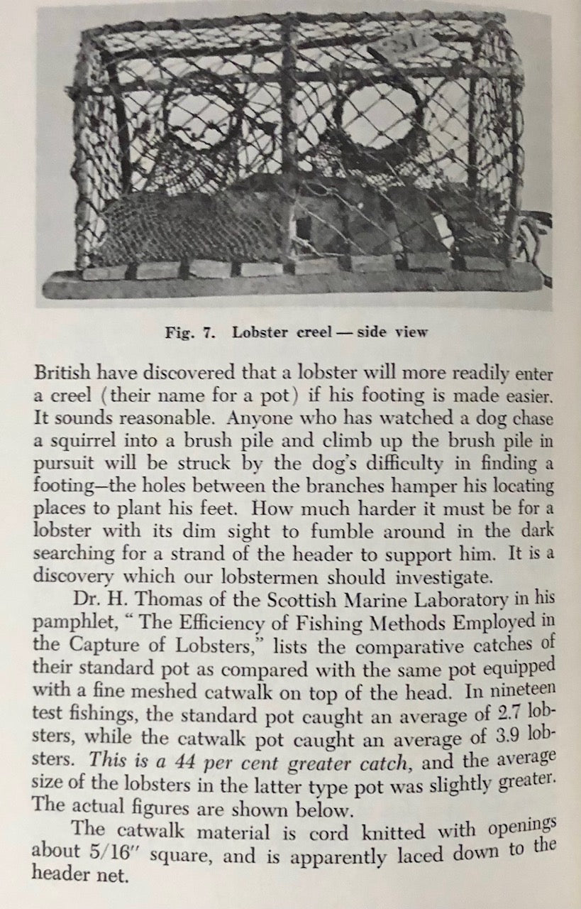 (Shellfish) T.M. Prudden. About Lobsters.