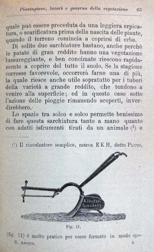 (Potatoes) N. Aducci. Le Patate