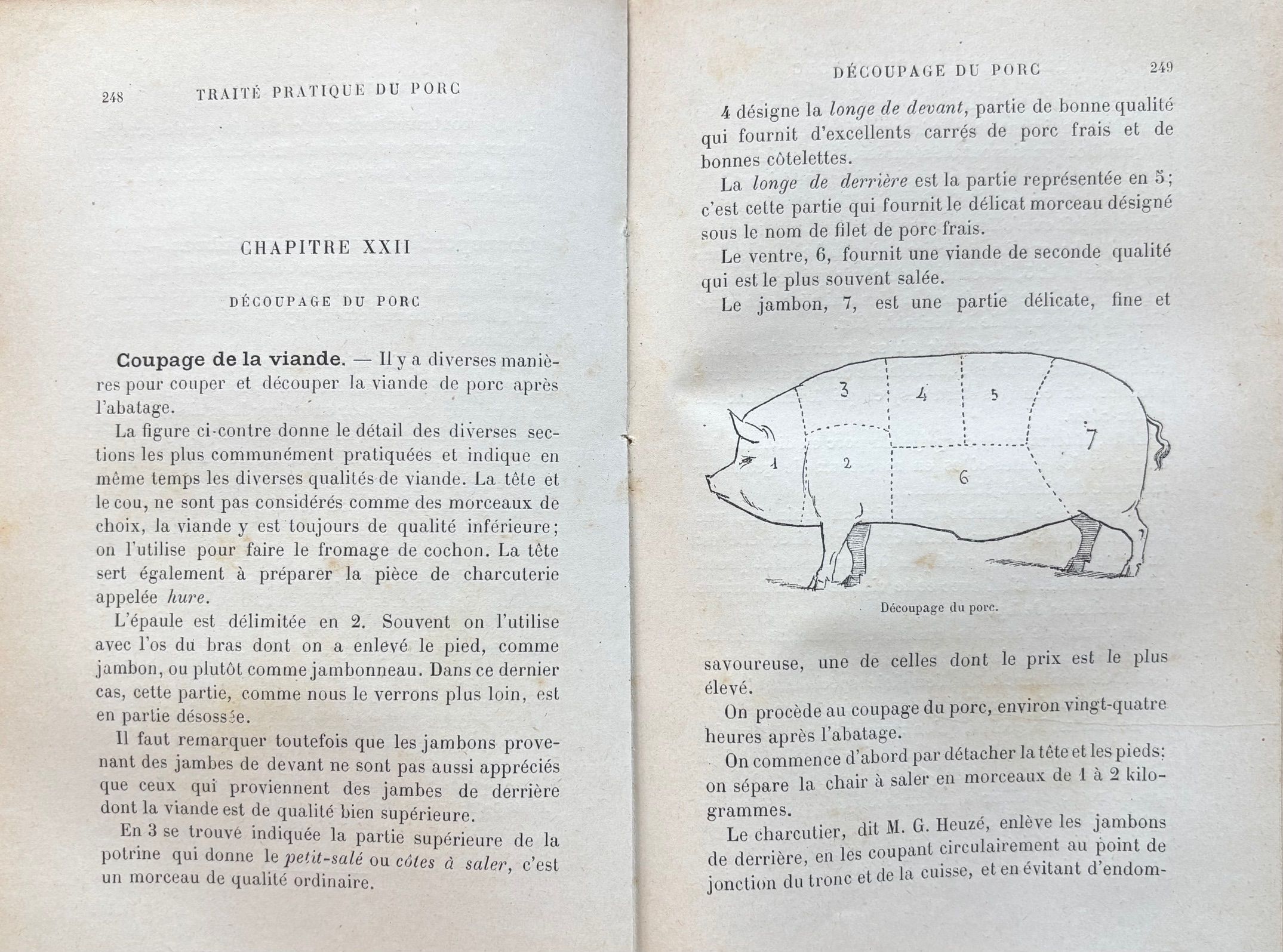 (*NEW ARRIVAL*) (Charcuterie) Auguste Valessert. Traite Pratique de l'Elevage du Porc et de Charcuterie...suivi d'une etude sur les Truffes at les Truffieres par Alb. Larbaletrier