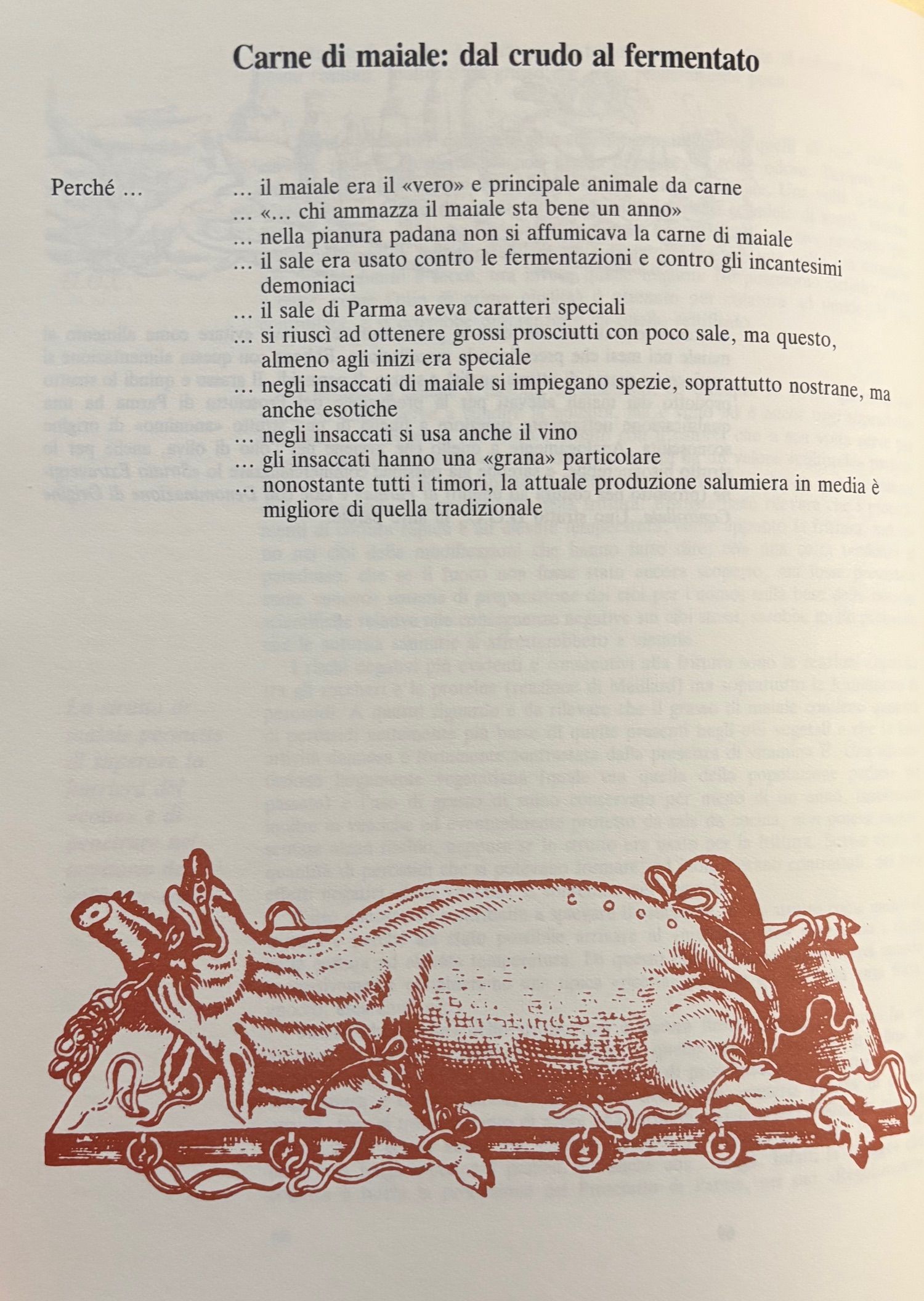 (Italian - Emilia Romagna) John B. Dancer. Il Triangolo Culinario: La Cucina Come Cultura