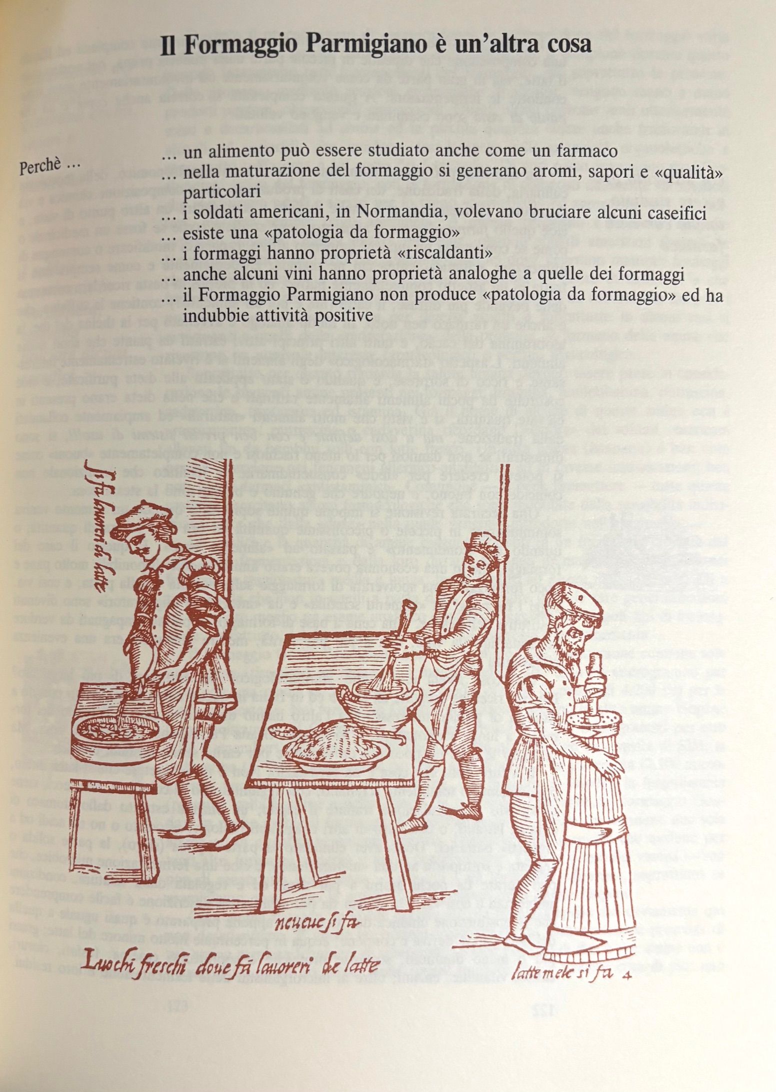 (Italian - Emilia Romagna) John B. Dancer. Il Triangolo Culinario: La Cucina Come Cultura
