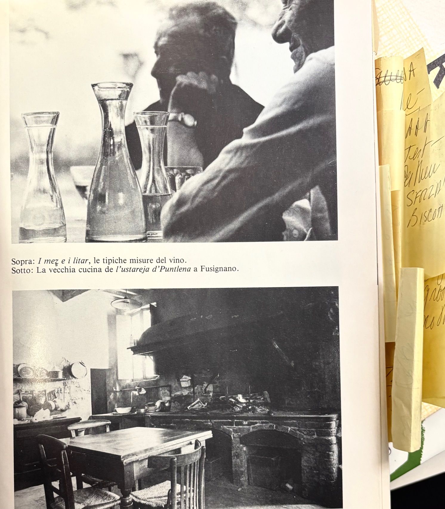 (Italian - Emilia Romagna) John B. Dancer. Il Triangolo Culinario: La Cucina Come Cultura